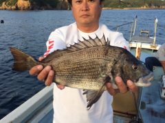 釣果情報 いかだイズム Plus 三重県鳥羽エリアを中心とした釣り情報を紹介